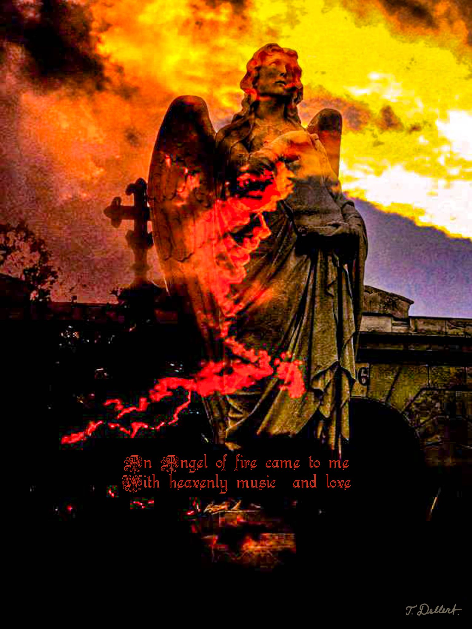 ANGEL 15 WITH TEXT 